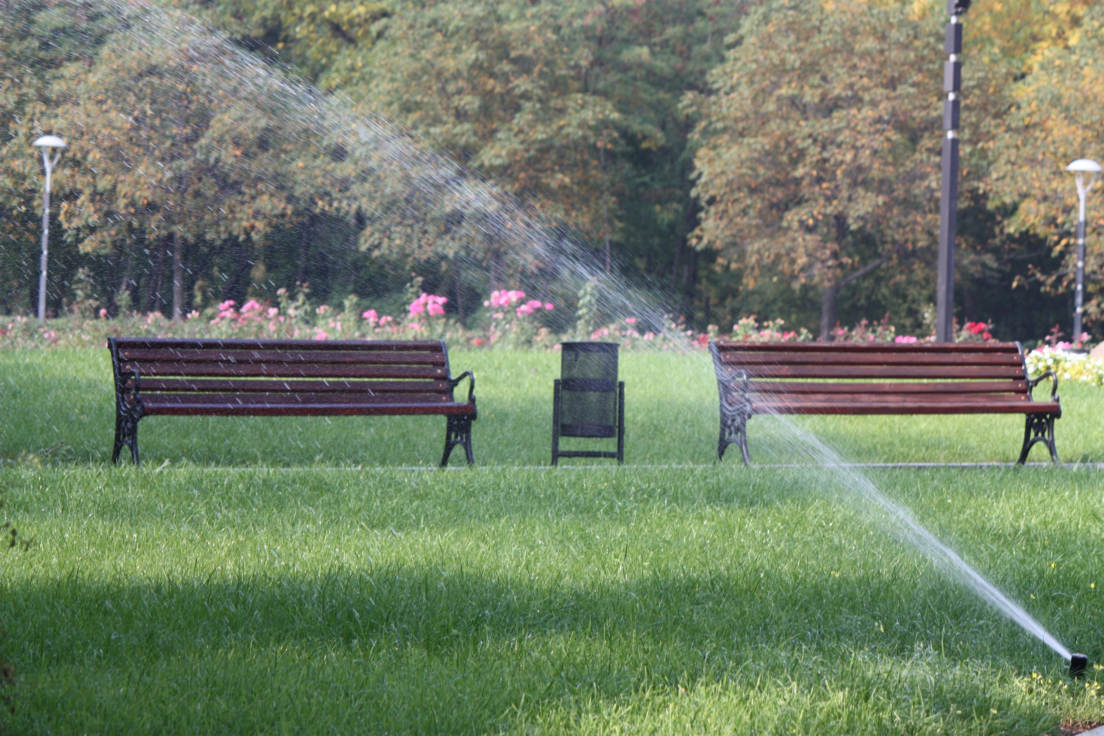 Парк Ленінського Комсомолу, фото 11